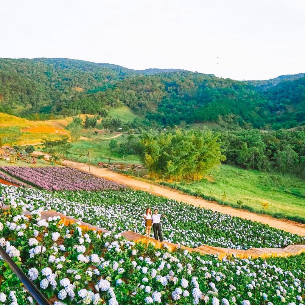 The Florest – Hoa Trong Rừng